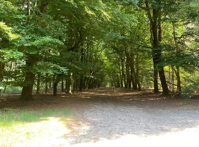 Nr. 18 Met Jacuzzi * Putten