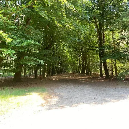 Nr. 18 Met Jacuzzi * プッテン