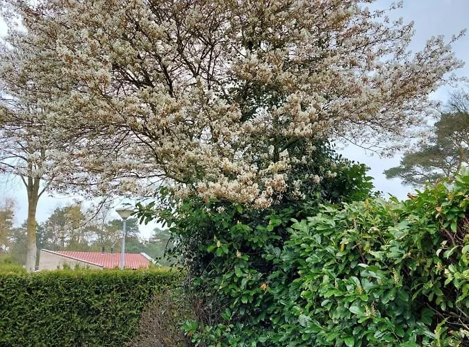 Vakantiehuis Nr. 18 Met Jacuzzi Putten